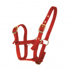 JHL Foal Headcollar (Red) JHL Foal Headcollar (Red)