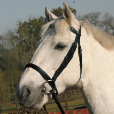 JHL Raised Cavesson Bridle (Black)