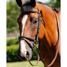 JHL Flash Bridle (Brown)