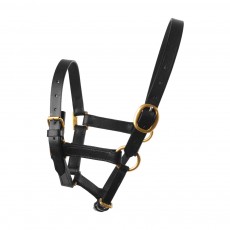 JHL Leather Foal Headcollar (Black)
