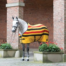 Masta Ascot Stripe Suede Fleece Rug (Gold)