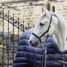 Masta (Clearance) Regal 425g Check Stable Rug (Grey)