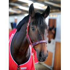 Whitaker Headcollar Padded Fleece (Red/Navy)