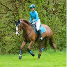 Woof Wear Ladies Performance Riding Shirt (Turquoise)