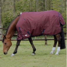 JHL Essential Mediumweight Turnout Rug (Navy/Burgundy)