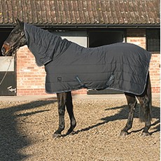 Mark Todd Combo Under Rug (Navy)