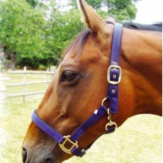 JHL Standard Headcollar (Navy/Light Blue)