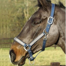 Mark Todd Padded Headcollar (Navy/Grey) Mark Todd Padded Headcollar (Navy/Grey)