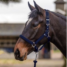 Mark Todd Deluxe Padded Headcollar With Leadrope (Navy)