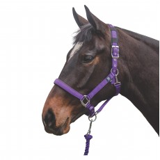 Mark Todd Deluxe Padded Headcollar With Leadrope (Purple)