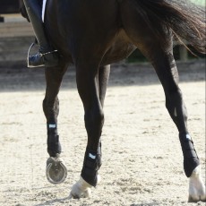 Equilibrium Stretch & Flex Flatwork Wraps (Navy)