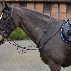 Mark Todd Running Martingale (Black/Brass Fittings)