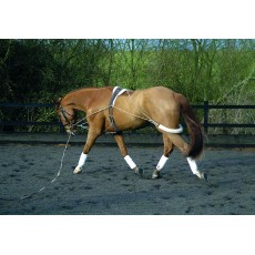 Mark Todd Essential Training System Mark Todd Essential Training System