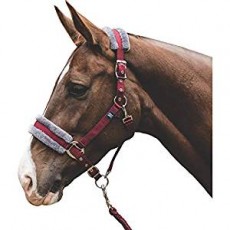 Mark Todd Fleece Lined Headcollar with Lead Rope (Burgundy/Grey)