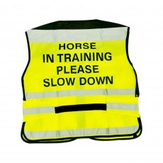 Equisafety Adults Air Waistcoat Horse In Training (Yellow) Equisafety Adults Air Waistcoat Horse In Training (Yellow)