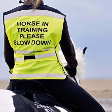 Equisafety Adults Air Waistcoat Horse In Training (Yellow) Equisafety Adults Air Waistcoat Horse In Training (Yellow)