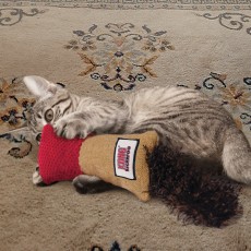 KONG Cat Kickeroo Cuddler (Assorted Colours)