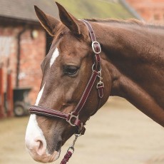 Mark Todd Fancy Stitch Raised Leather Headcollar (Red/Brown)