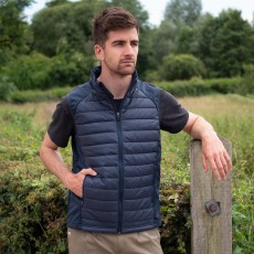 Mark Todd Unisex Quilted Gilet (Navy)
