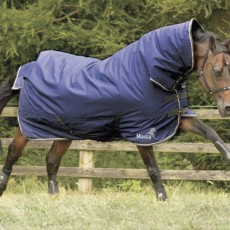 Masta Avante 170g Fixed Neck Turnout Rug (Navy)
