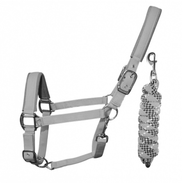 Woof Wear Head Collar and Lead Rope Colour Fusion (Brushed Steel)