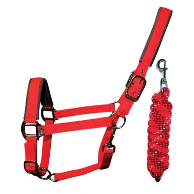 Woof Wear Head Collar and Lead Rope Colour Fusion (Royal Red)