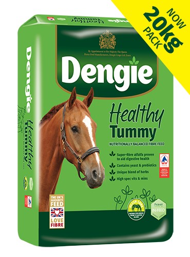 Dengie Healthy Tummy (20kg)