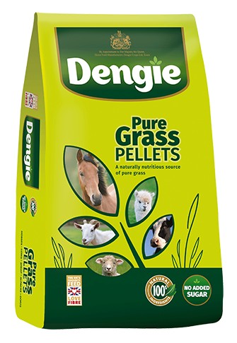 Dengie Grass Pellets (20kg)