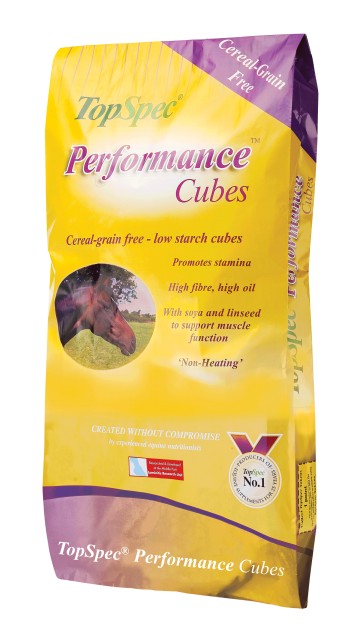 TopSpec Performance Cubes