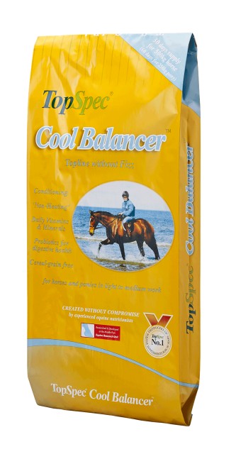 TopSpec Cool Balancer