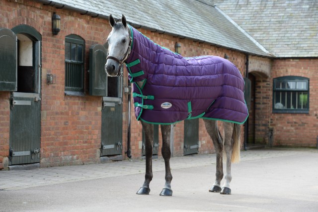 Weatherbeeta ComfiTec - 210D Channel Stable Rug - Combo - Medium (Purple/Green)