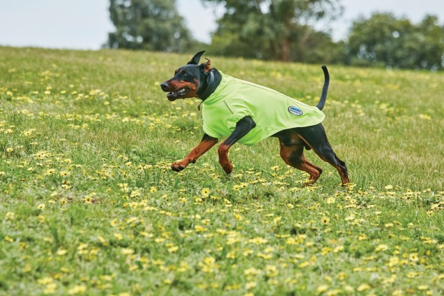 Weatherbeeta Comfitec Active Dog Coat (Orange)