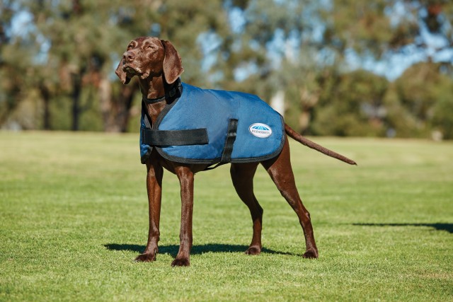 Weatherbeeta Comfitec - Classic Dog Coat (Dark Blue)