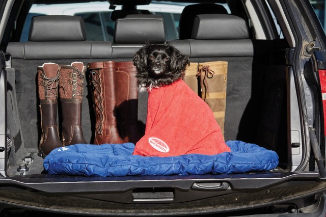 Weatherbeeta Comfitec Dry-Dog Bag (Red)