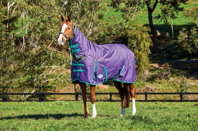 Weatherbeeta Comfitec - Essential Turnout Rug - Combo Neck - Heavyweight (Purple/Green)