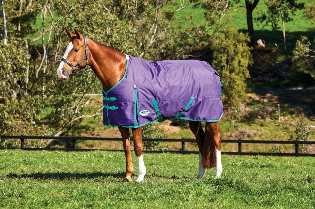 Weatherbeeta ComfiTec - Essential Turnout - Standard - Medium (Purple/Green)