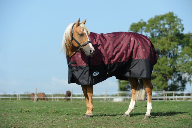 Weatherbeeta ComfiTec - Essential Turnout - Standard - Medium (Bandana Print)