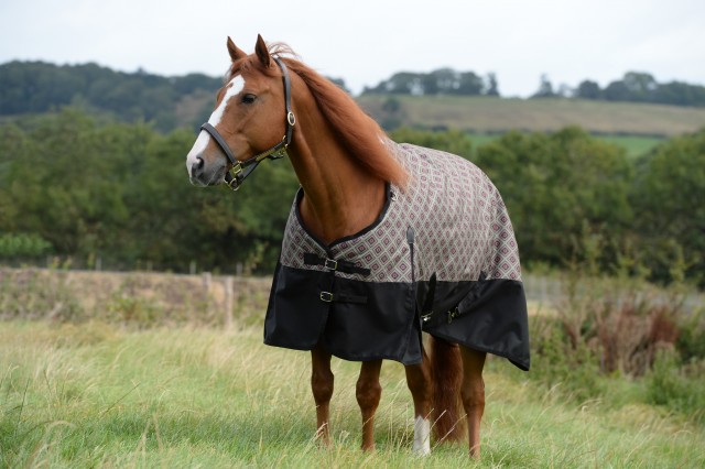 Weatherbeeta ComfiTec - Essential Turnout - Standard - Medium (South West Spice Print)