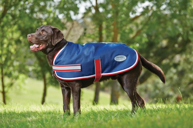 Weatherbeeta Comfitec Parka 1200d Dog Coat (Navy/Red/White)