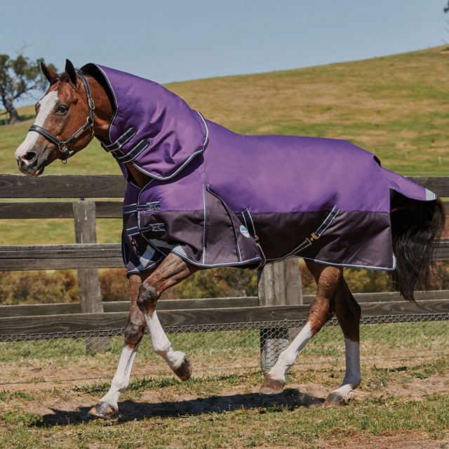 Weatherbeeta ComfiTec - Plus Dynamic Turnout - Combo - Light (Purple/Black)