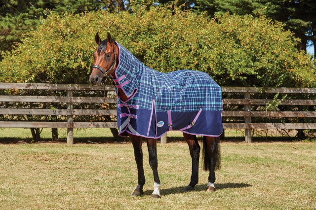 Weatherbeeta ComfiTec - Plus Dynamic Turnout - Combo - Medium (Navy/Blue/Purple)