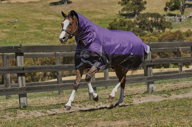 Weatherbeeta Comfitec - Plus Dynamic Turnout Rug - Combo Neck - Mediumweight (Purple/Black)