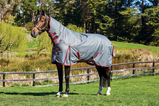 Weatherbeeta ComfiTec - Plus Dynamic Turnout - Combo - Med/Lite (Grey/Burgundy)