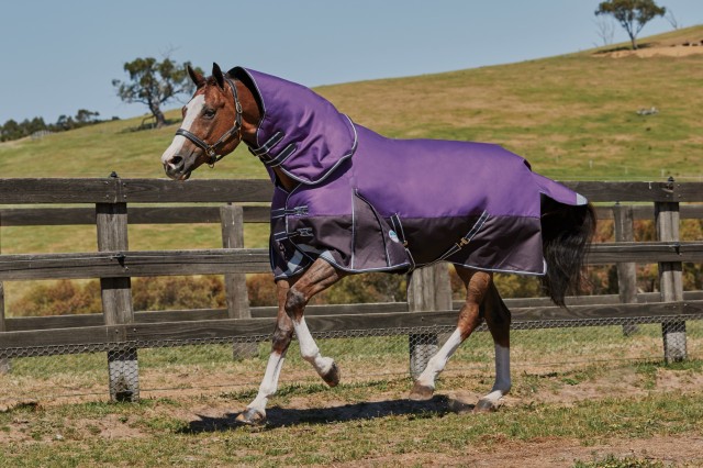 Weatherbeeta ComfiTec - Plus Dynamic Turnout - Detach Neck - Light (Purple/Black)