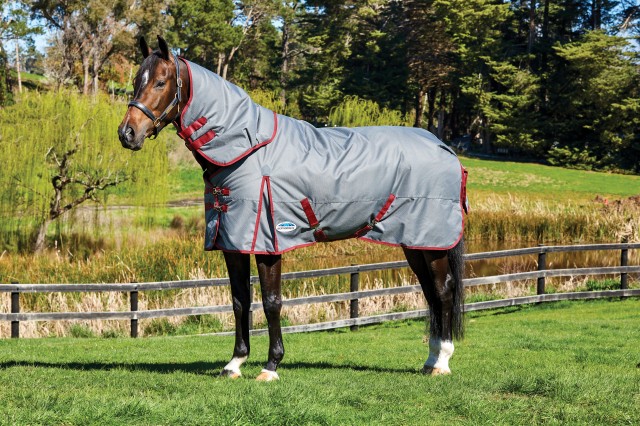 Weatherbeeta ComfiTec - Plus Dynamic Turnout - Detach Neck - Medium (Grey/Burgundy)