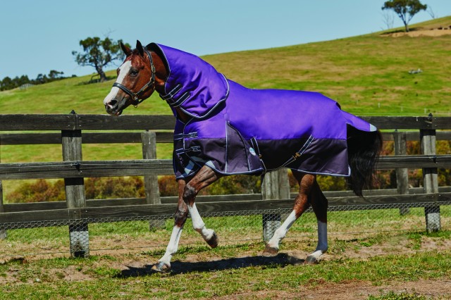 Weatherbeeta Comfitec - Plus Dynamic Turnout Rug - Detach-A-Neck - Mediumweight (Purple/Black)