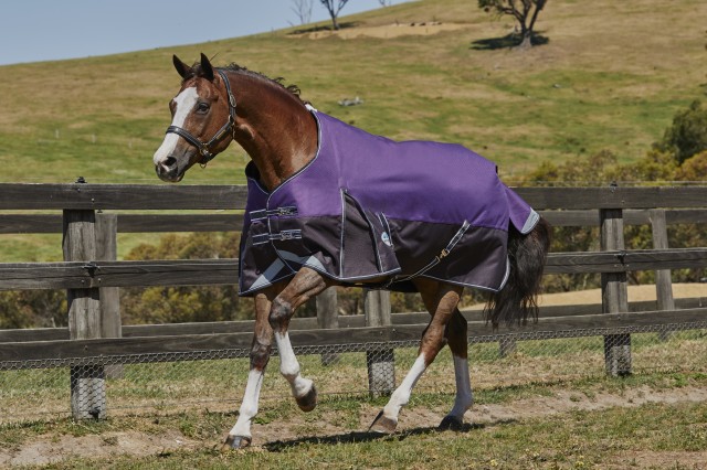 Weatherbeeta ComfiTec - Plus Dynamic Turnout - Standard - Light (Purple/Black)