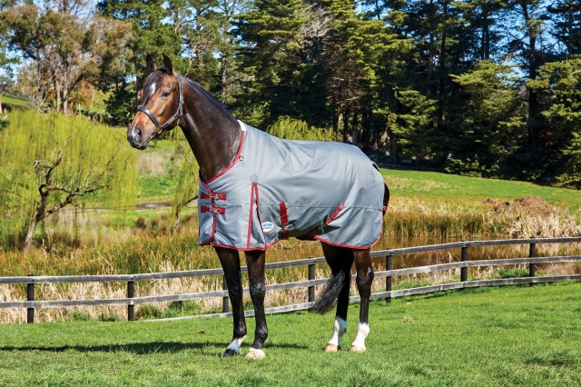 Weatherbeeta ComfiTec - Plus Dynamic Turnout - Standard - Medium (Grey/Burgundy)