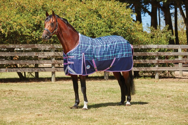 Weatherbeeta ComfiTec - Plus Dynamic Turnout - Standard - Medium (Navy/Blue/Purple)