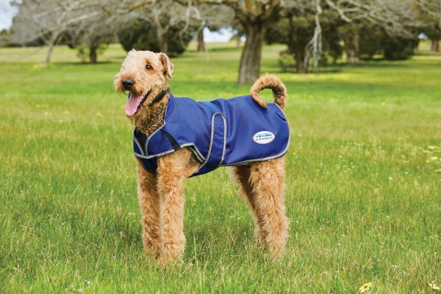 Weatherbeeta Comfitec Premier Free Duo Deluxe Parka Dog Coat  (Dark Blue/Grey/White)